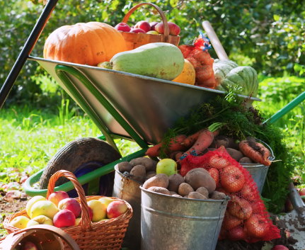 Poljoprivredni proizvodi